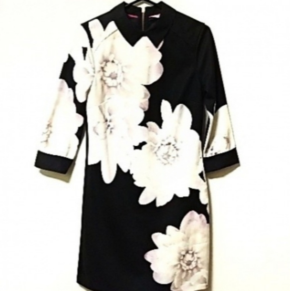Ted Baker ted size 0 dress, US size 2